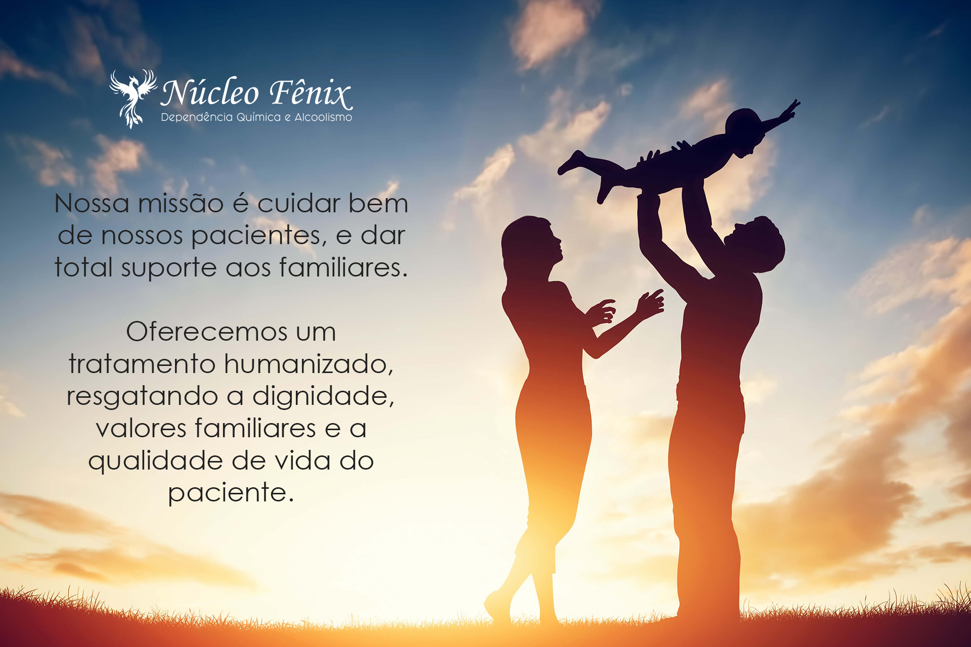 Núcleo Fênix