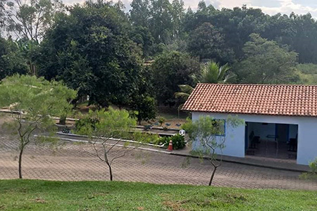 Núcleo Fênix